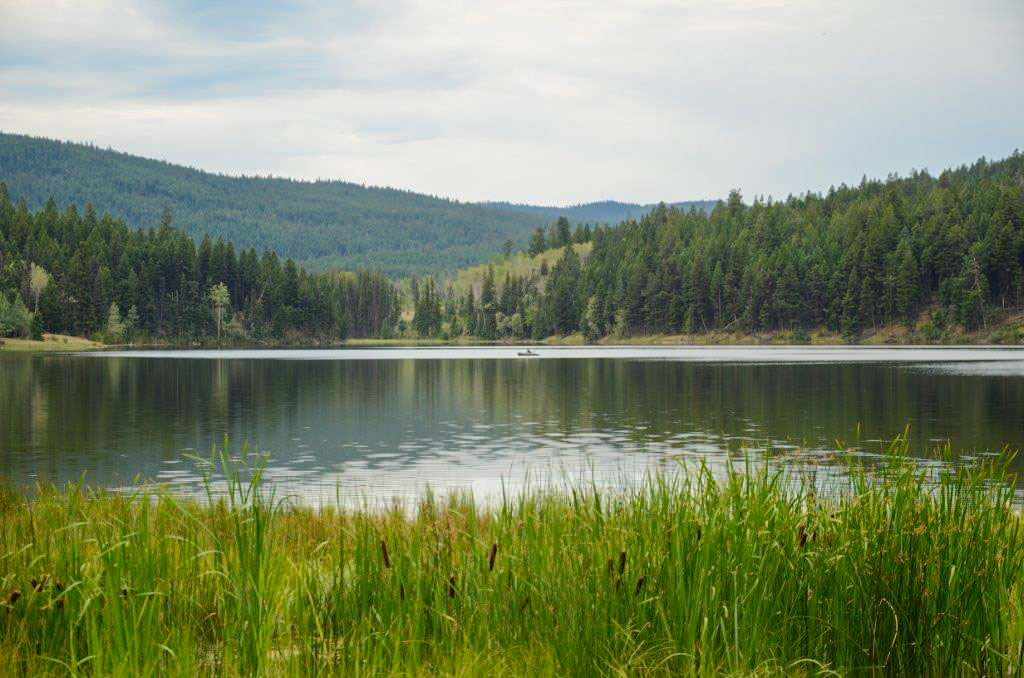 BCORMA: Stewarding the Duffy Lake Trails